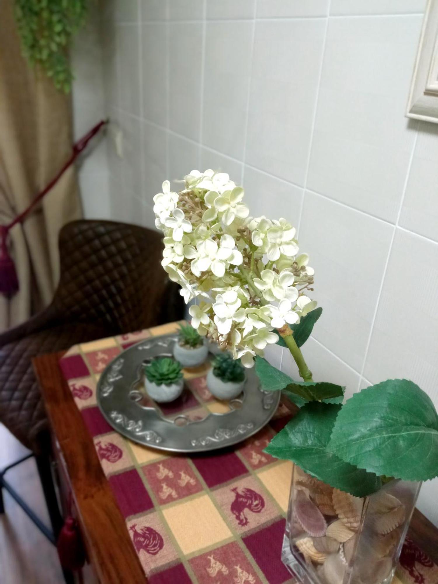 Casa De Nina Daire Cordoba Dış mekan fotoğraf